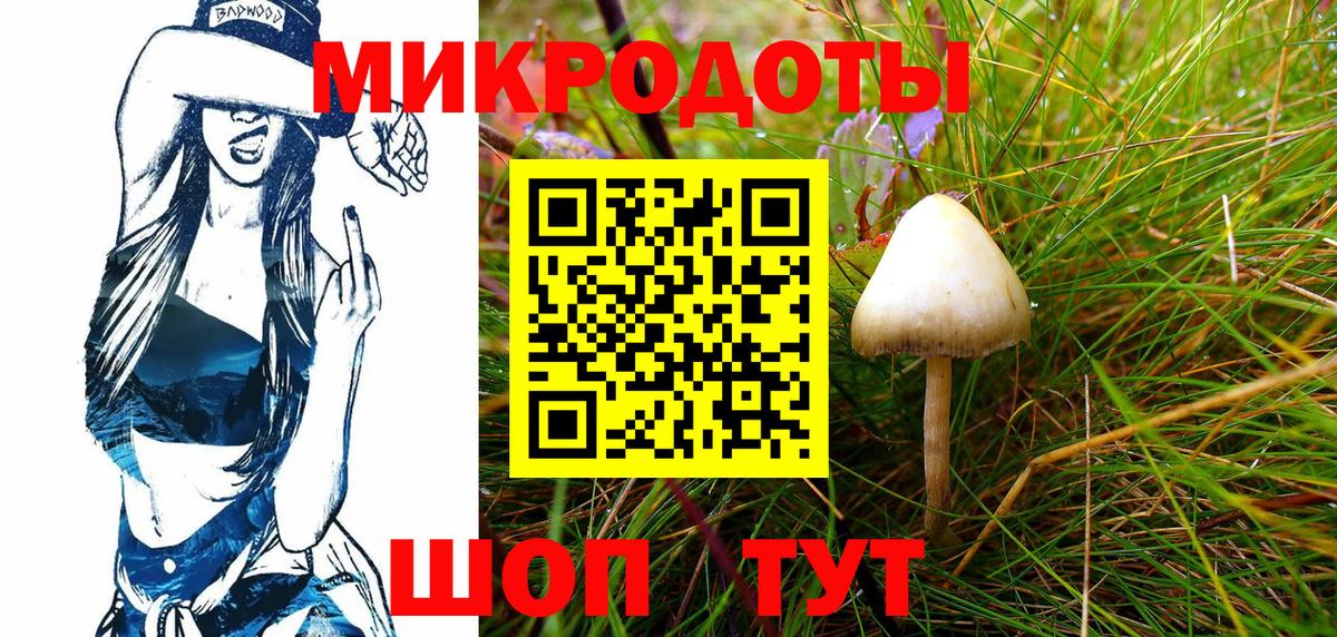 Орск  Галлюциногенные грибы Psilocybe  Вход с VPN 